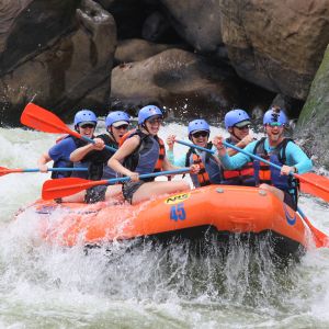 Photographie de 8 personnes en train de descendre en canoe